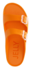 FENIX
